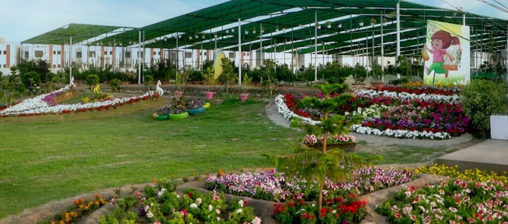 Multan's Floral Splendor,